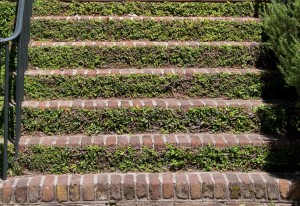 steps