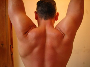 arms