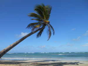 Reclama la Bounty: Mare, soare, cocotier