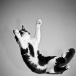 Getting Back in Balance