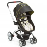 Stroller: Upper Body Workout
