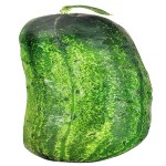 Superfoods by the Season