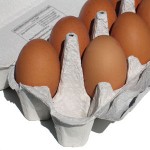 Reading cartons for Eggs-tra Credit