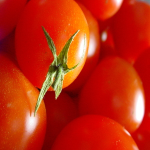 tomatoes