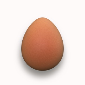 egg