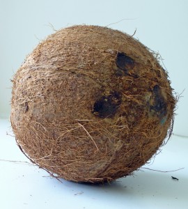 Coconut Water as a Substitute for Water