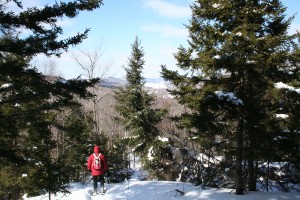 High Altitude Walking