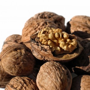 nuts (1280x1279)