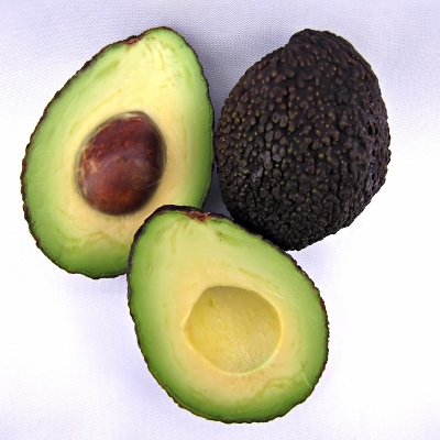 avocado (400x400)