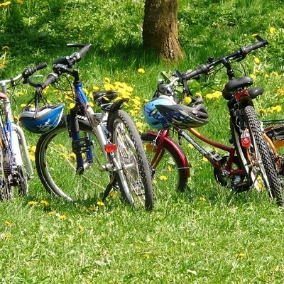 family bicycles (400x400)