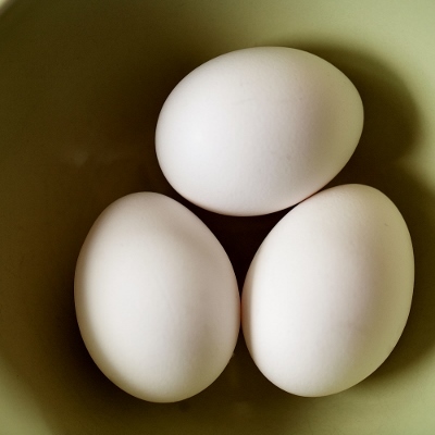 eggs (400x400)